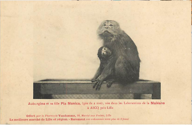 42 ascq - laboratoire meleane 01